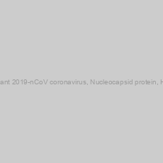 Image of Recombinant 2019-nCoV coronavirus, Nucleocapsid protein, His-tagged